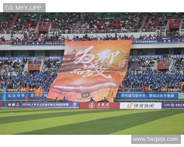 足球明星齐聚助力河南振兴共同为家乡的未来加油助威